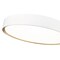 Z-Lite Kawan 1 Light Flush Mount, 20in. W x 5.25in. L, Matte White and Modern Gold 1014F20-MW-MGLD-LED - alternate 6